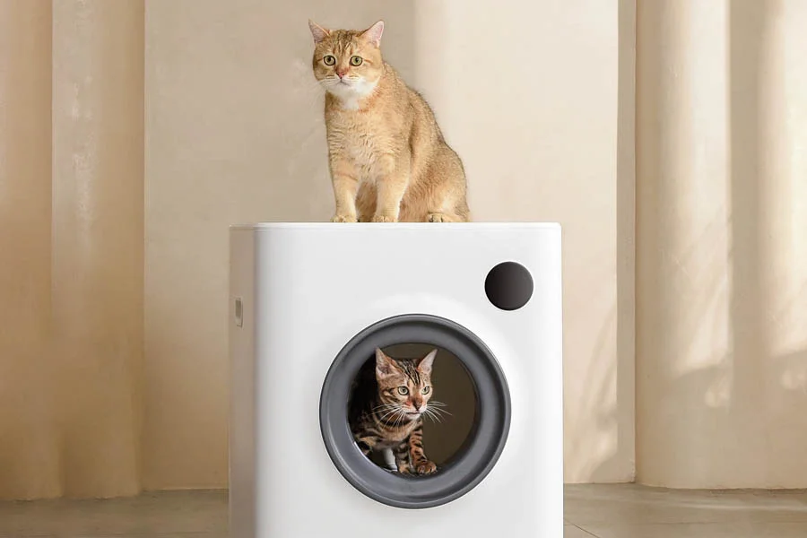 best litter box for multiple cats automatic