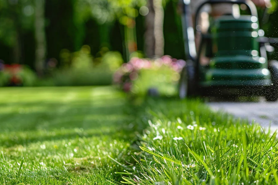 self-propelled push mower